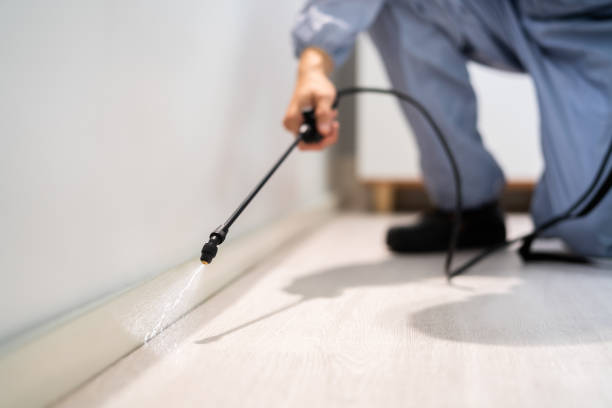 Licensed Termite Control service in Cloverdale, CA - Nex Pest Control