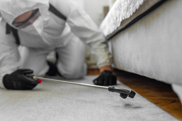 Professional Termite Control technician working in Cloverdale, CA