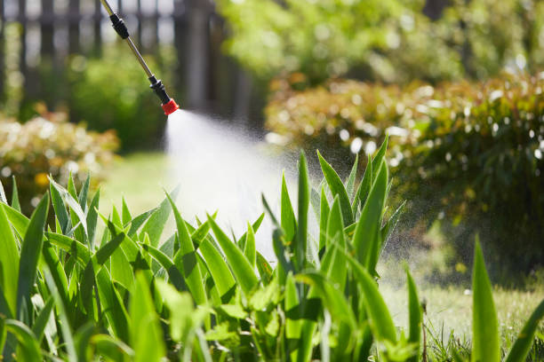 24/7 Emergency Termite Control experts in Cloverdale, CA