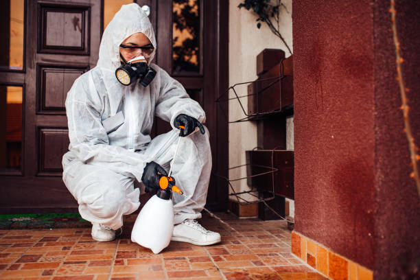 Reliable Termite Control contractor in Cloverdale, CA by Nex Pest Control